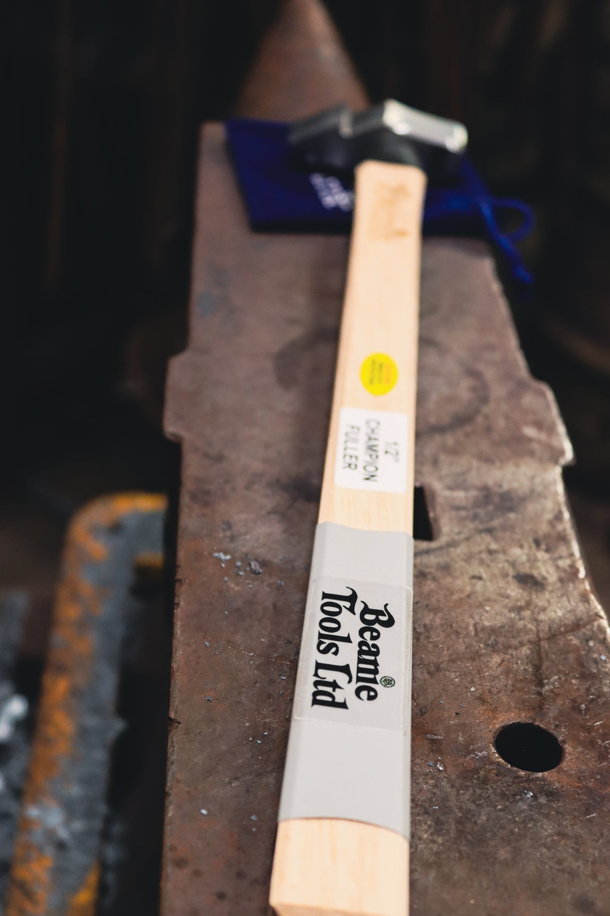 Beanie Champion Fuller 1/2