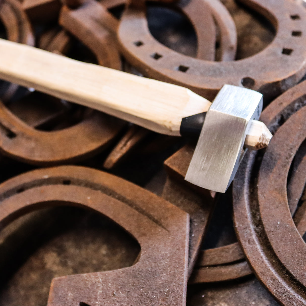 Beanie Shorty Regular Fuller