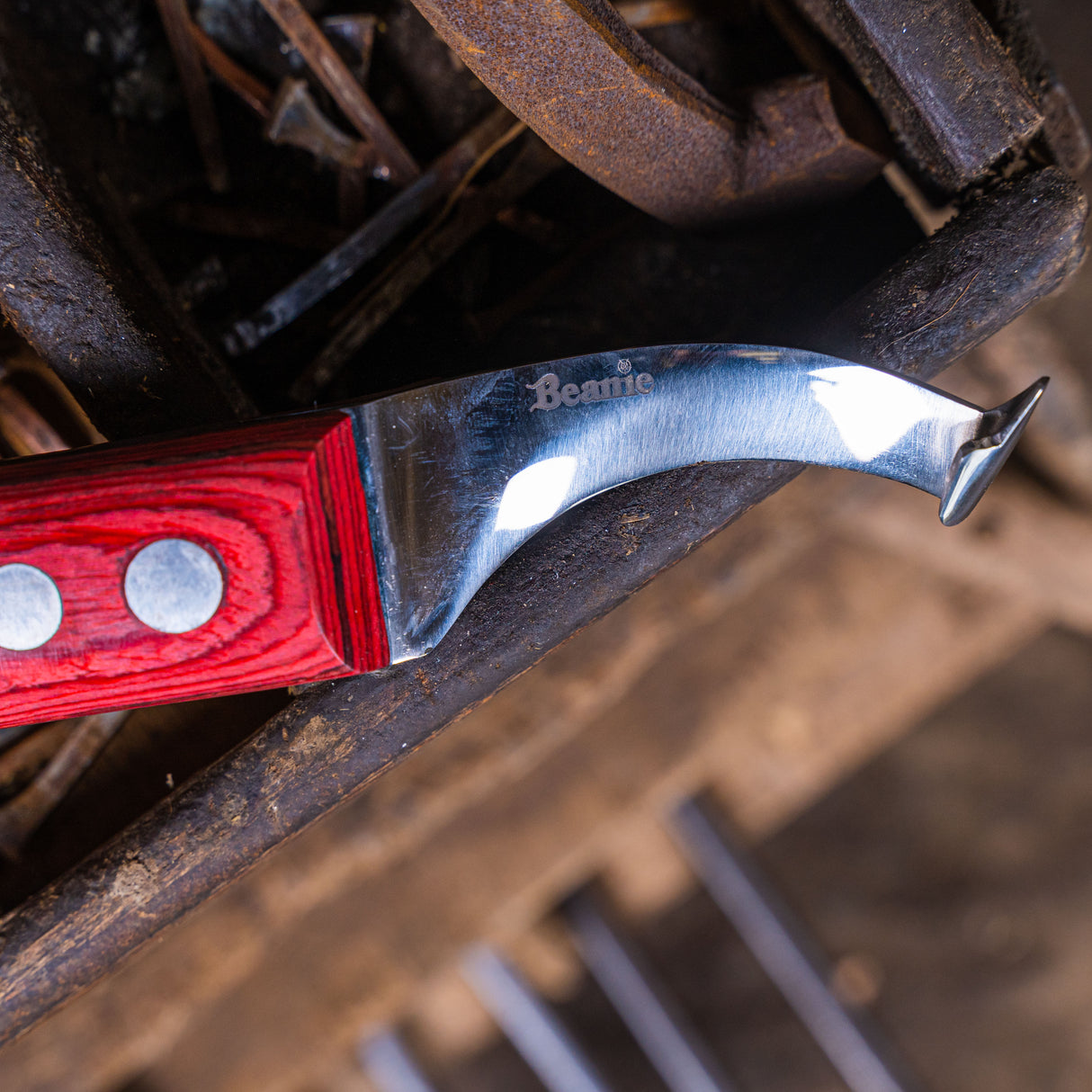 Beanie Farrier Curved Blade Knife with Brass Topper