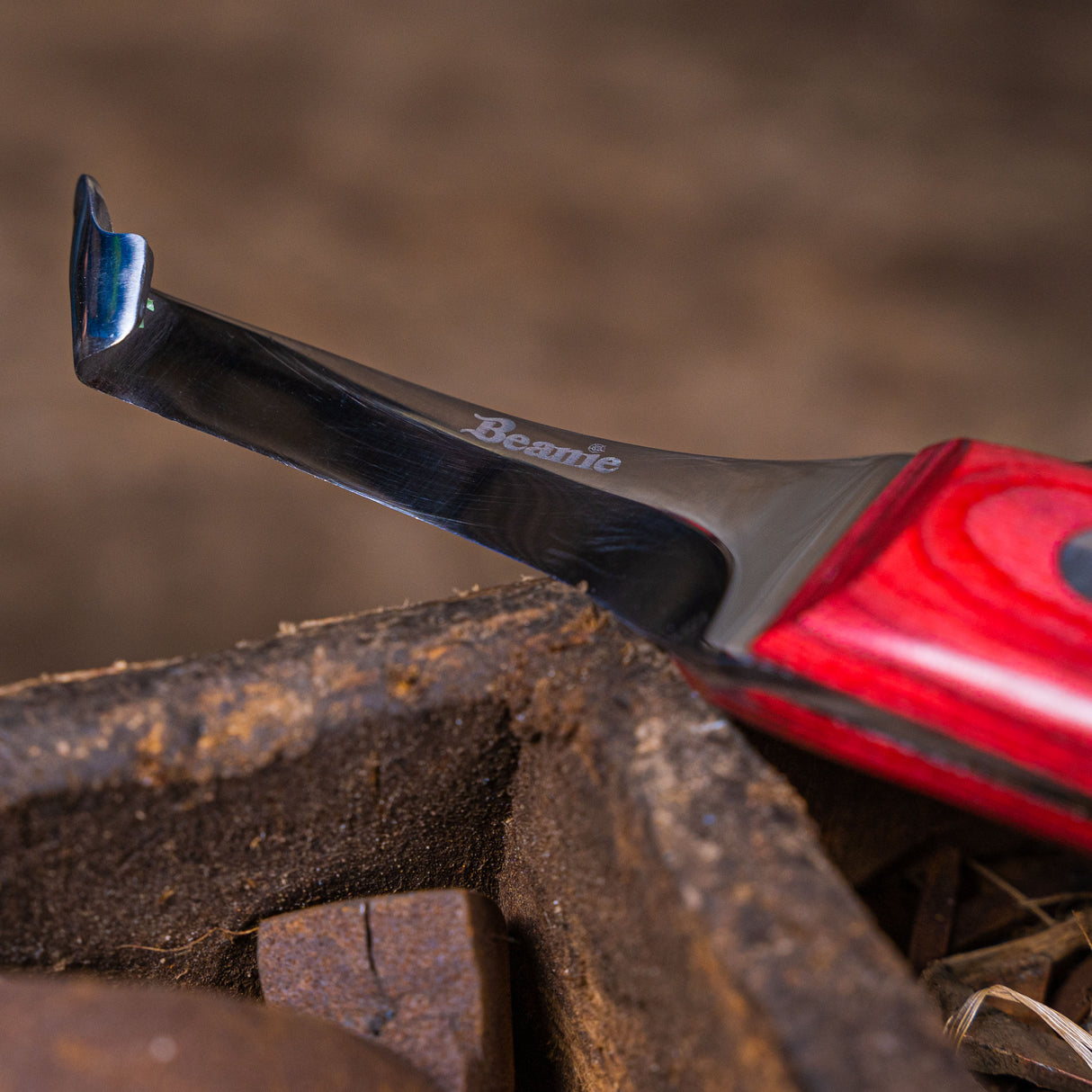 Beanie Farrier Curved Blade Knife with Brass Topper