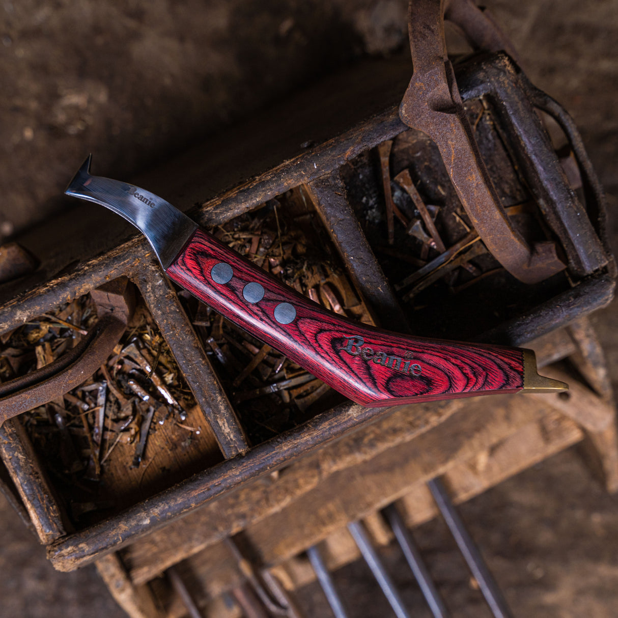 Farrier Large Loop Knife with Brass Topper