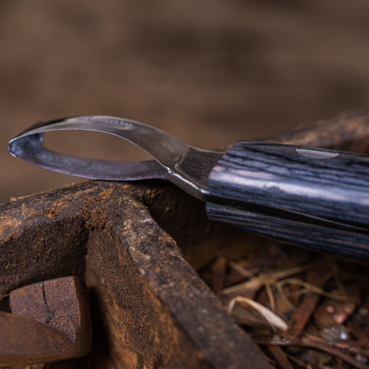 Beanie Farrier Slim Loop Knife with Brass Topper