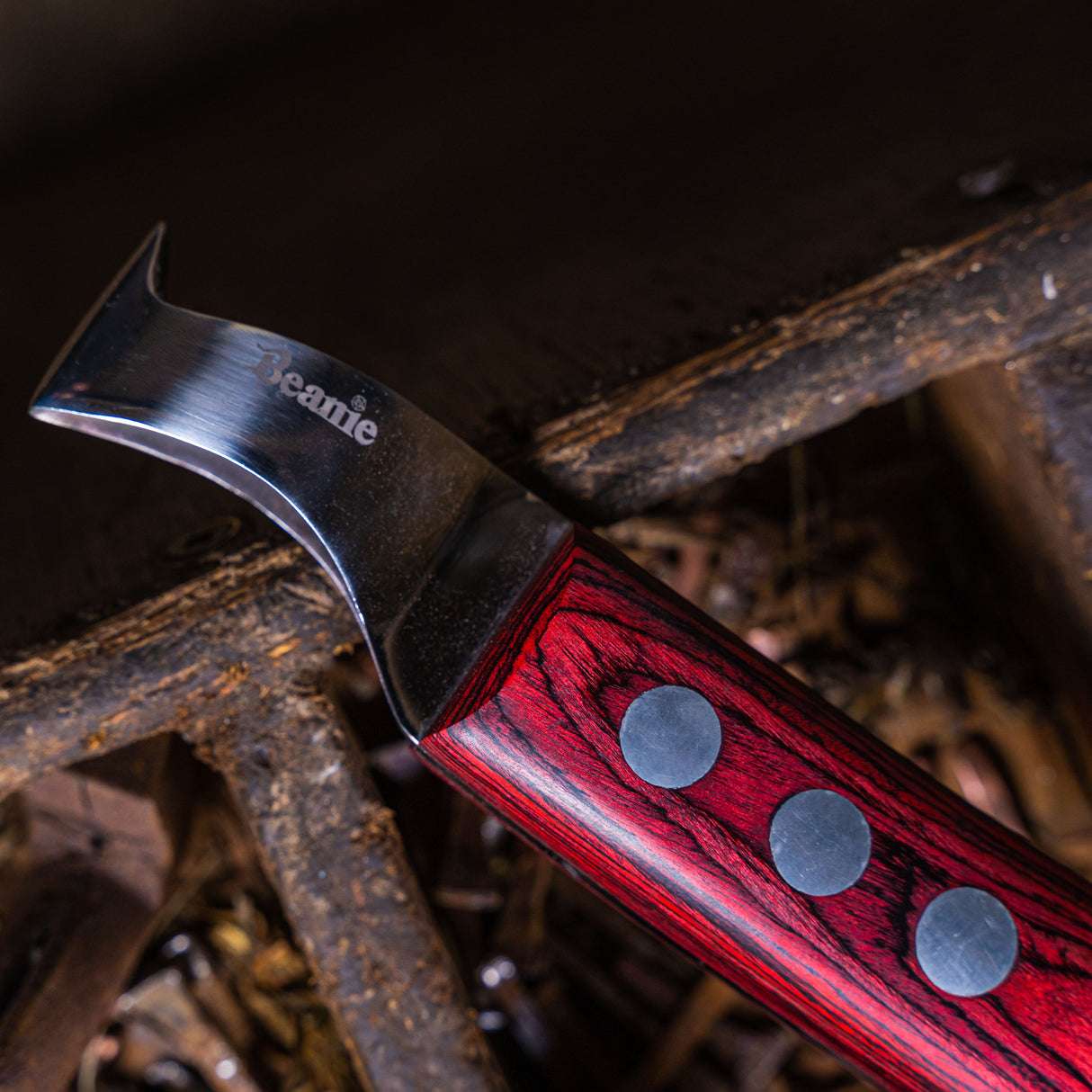 Beanie Farrier Small Loop Knife with Brass Topper