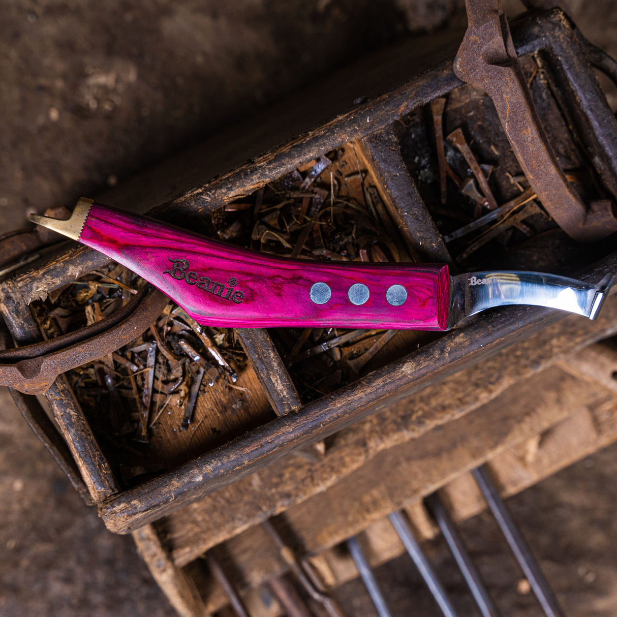 Beanie Farrier Straight Blade Knife with Brass Topper