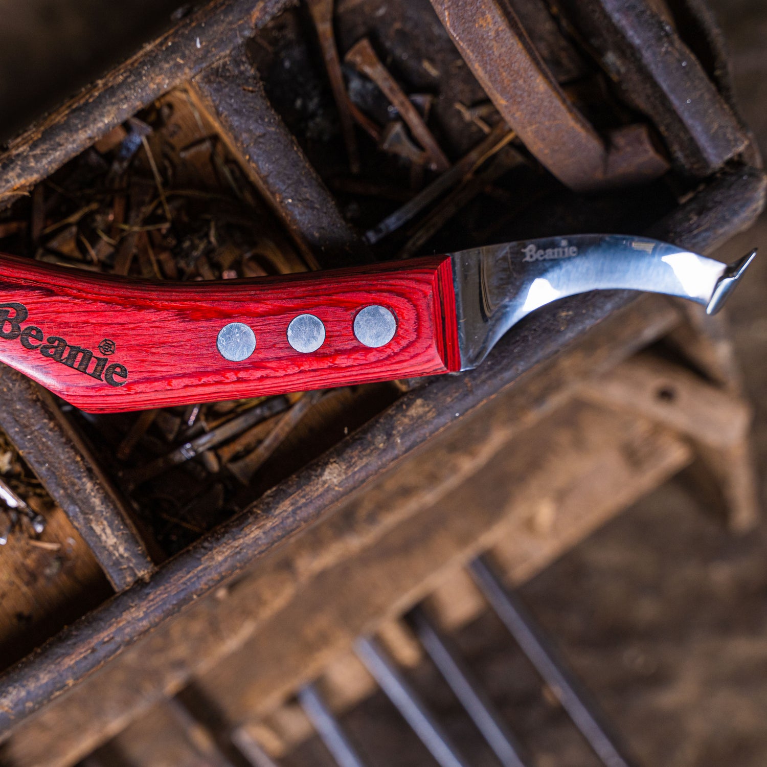 Beanie Farrier Curved Blade Knife with Brass Topper