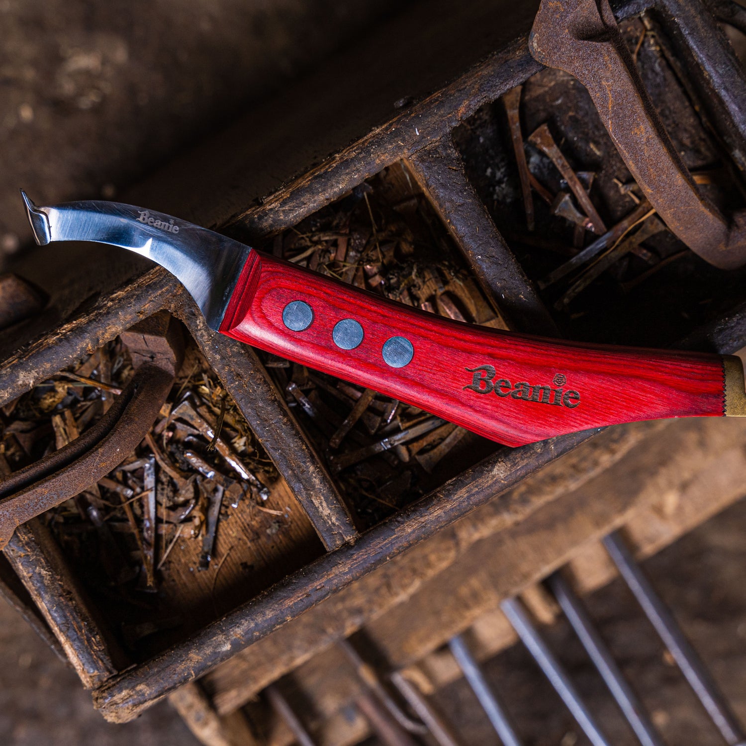 Beanie Farrier Curved Blade Knife with Brass Topper