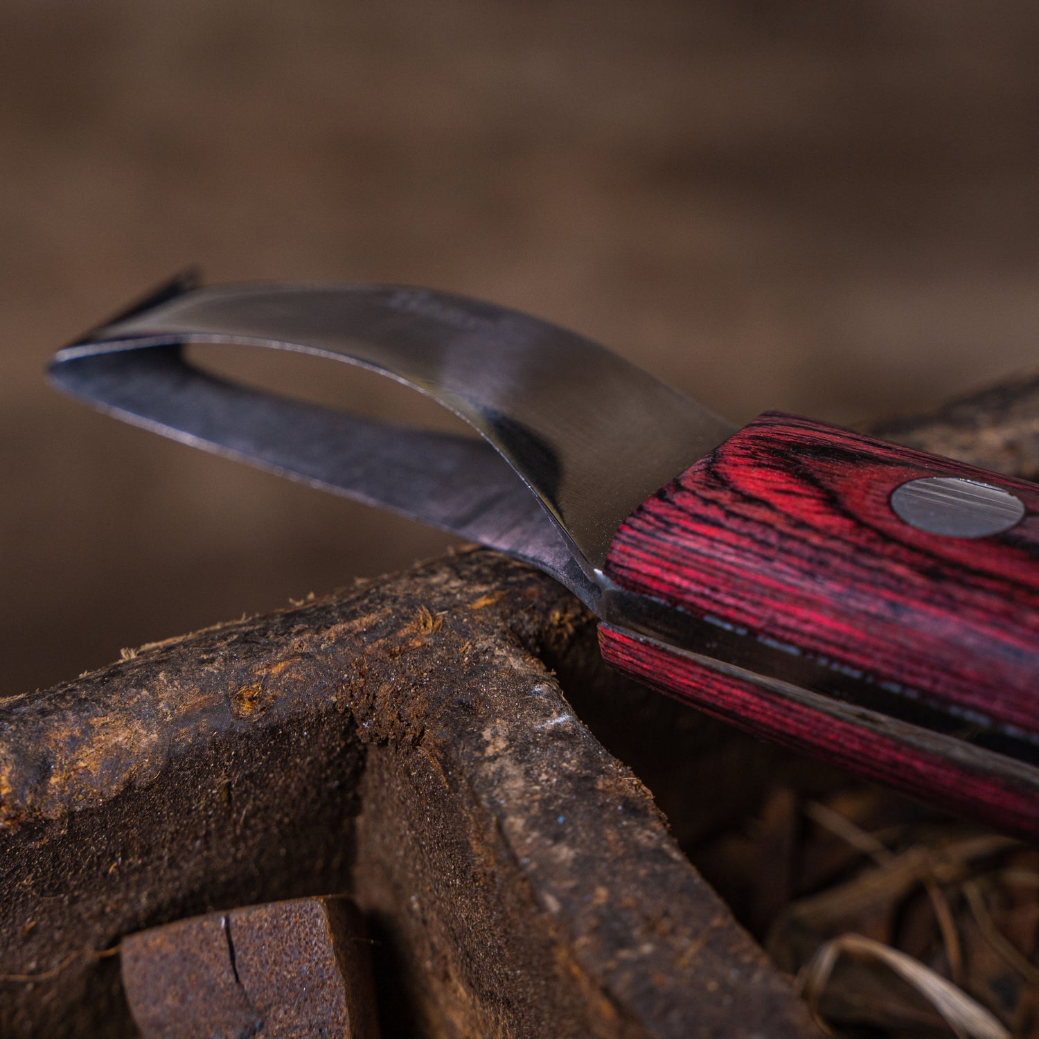 Farrier Large Loop Knife with Brass Topper