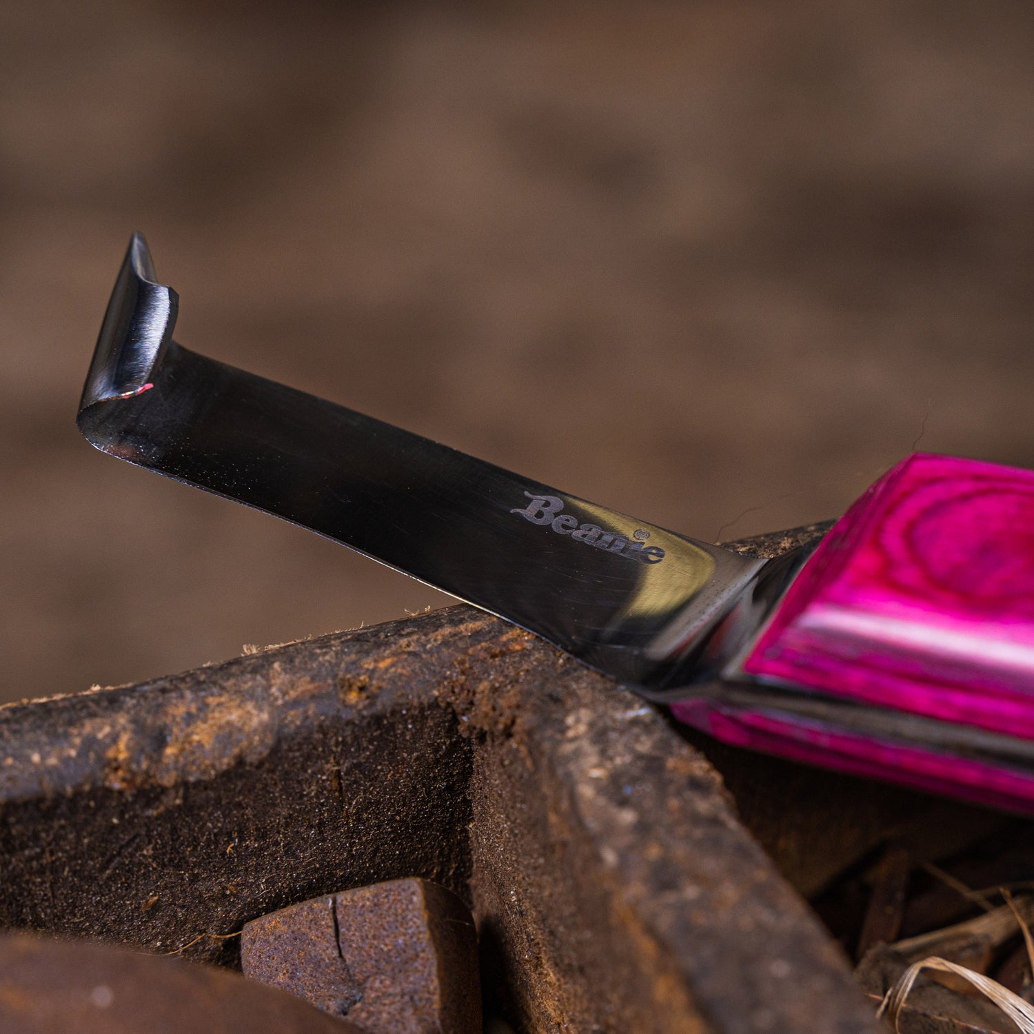 Beanie Farrier Straight Blade Knife with Brass Topper