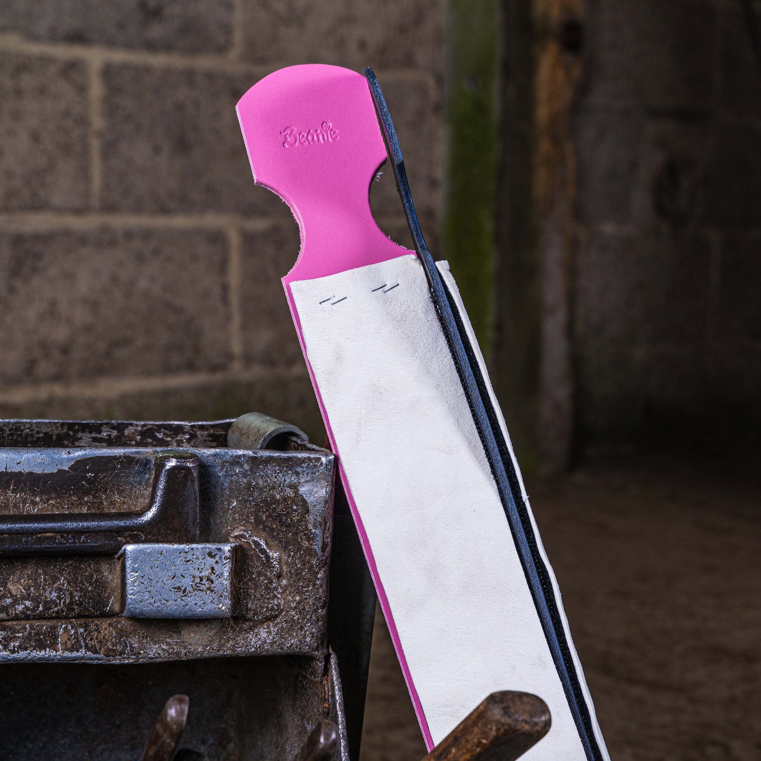 Beanie Final Polish Wrap Around Hoof Sanding System